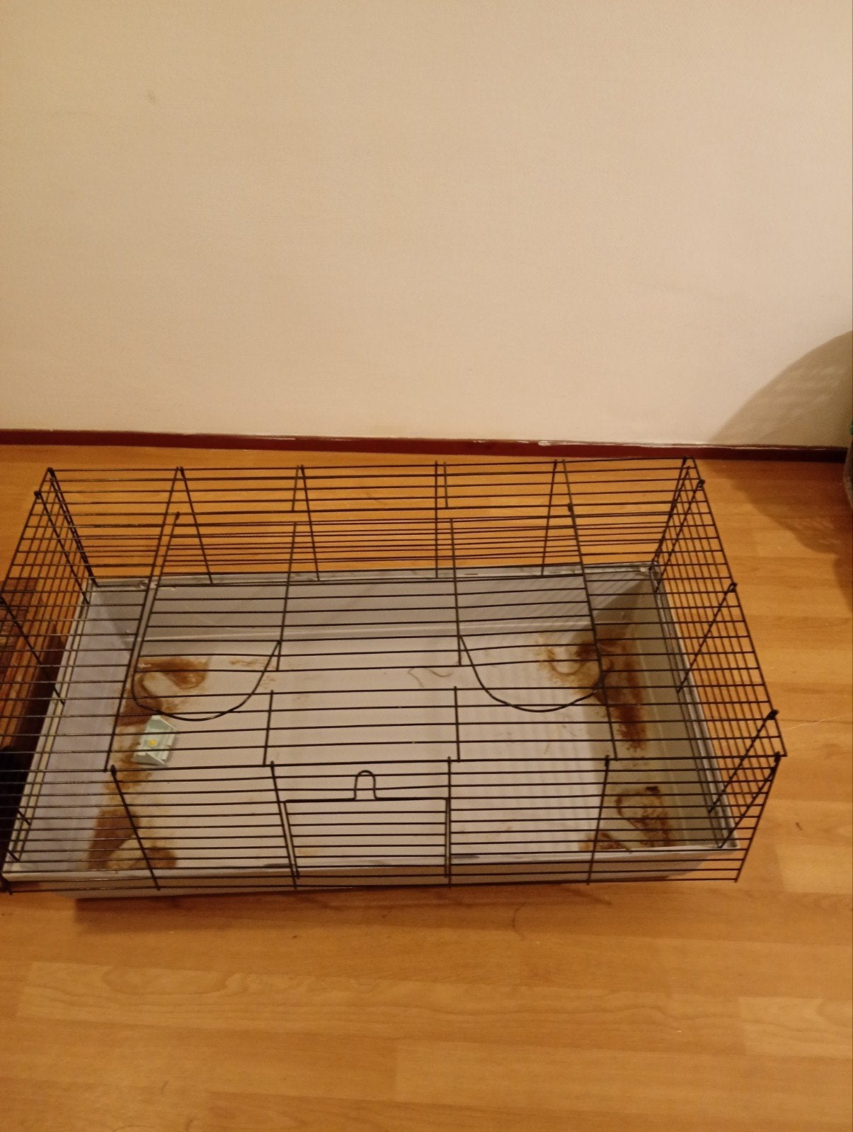 complete caviakooi, Kooi, Cavia, Zo goed als nieuw, 75 tot 110 cm
