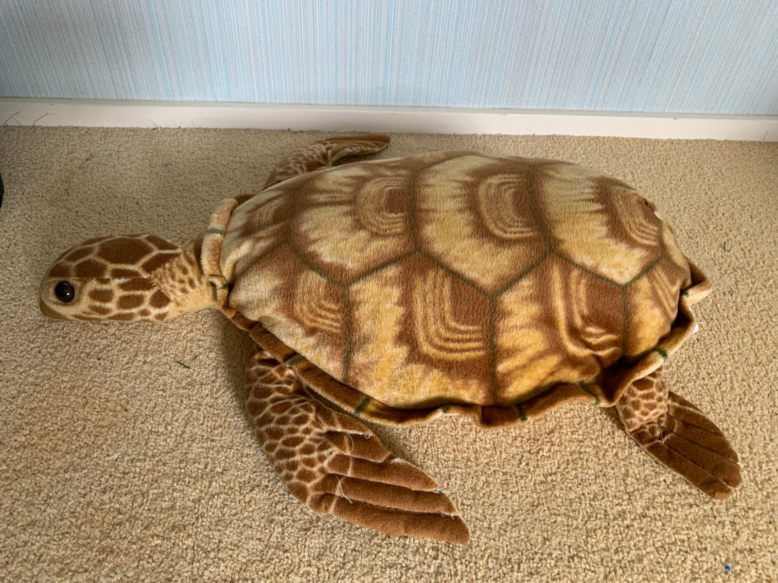 Grote pluche schildpad - knuffel, Overige typen, Ophalen of Verzenden, Zo goed als nieuw, Bruin