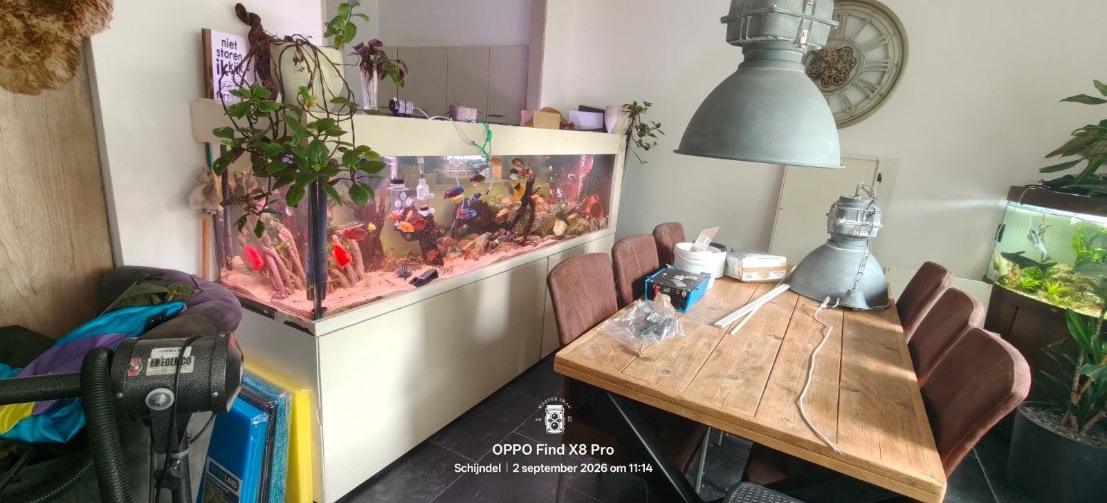groot aquarium met 1x eheim 1200 xl en 2 x 1200xlt filter, Dieren en Toebehoren, Ophalen, Verwarming, Zo goed als nieuw, Gevuld zoetwateraquarium