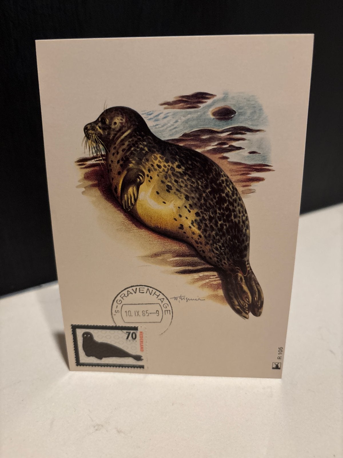 Vintage Ansichtkaart Zeehond - Bedreigde Dieren (1985), Ophalen of Verzenden, 1980 tot heden, Gelopen, Natuur