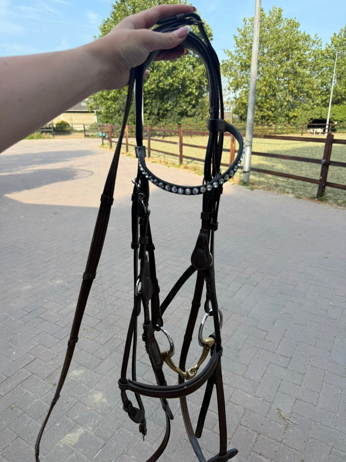 Hoofdstel Horsegear Aquila Deluxe bruin, Hoofdstel, Bruin, Ophalen of Verzenden, Zo goed als nieuw