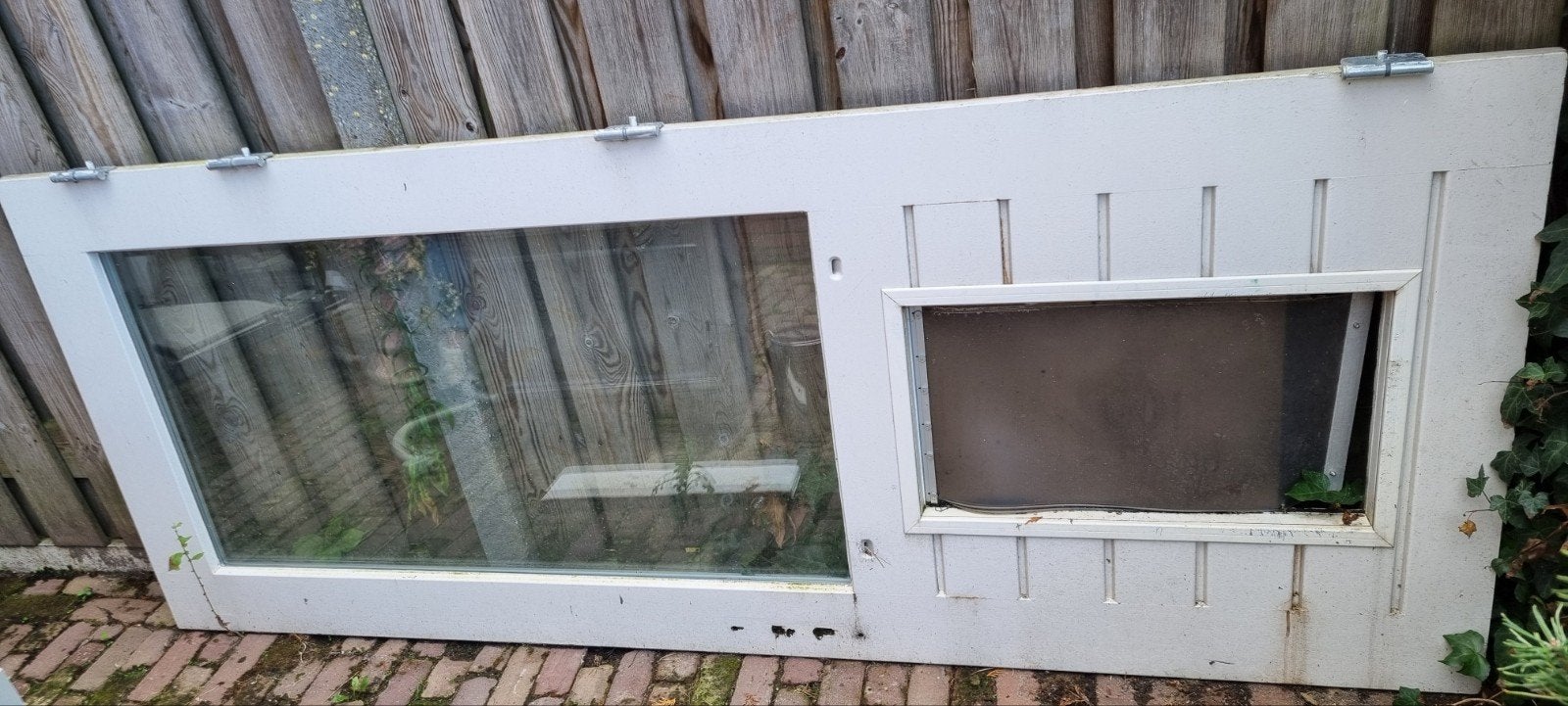 hardhouten buitendeur met hondeluik, Ophalen, Buitendeur, 215 cm of meer