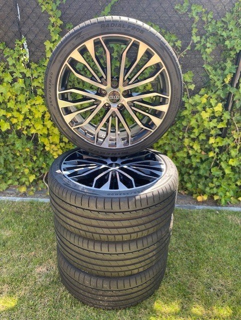 Audi Competition velgen 20inch, Ophalen, Gebruikt, 255 mm, Velg(en)