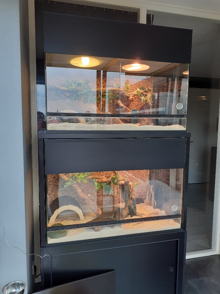 Terrarium (100x60x50) 2x met kast, Ophalen, Zo goed als nieuw, Terrarium of Paludarium