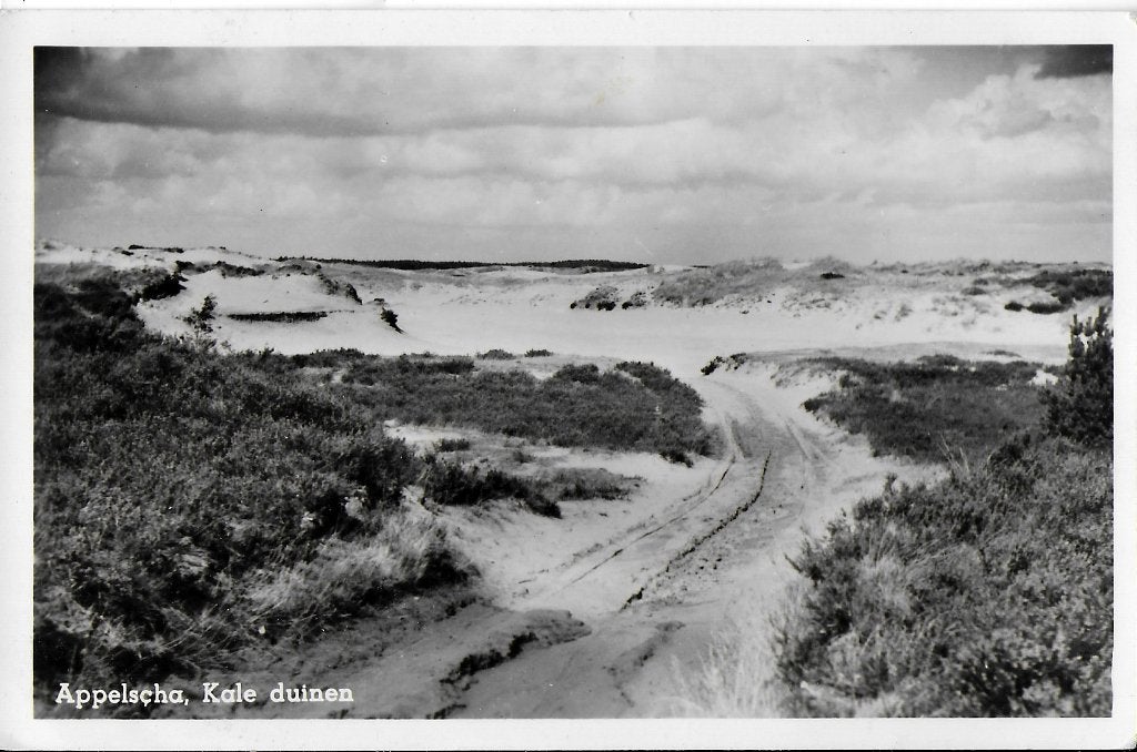 oude gelopen ansichtkaart appelscha kale duinen P1231, Ophalen of Verzenden, 1920 tot 1940, Gelopen