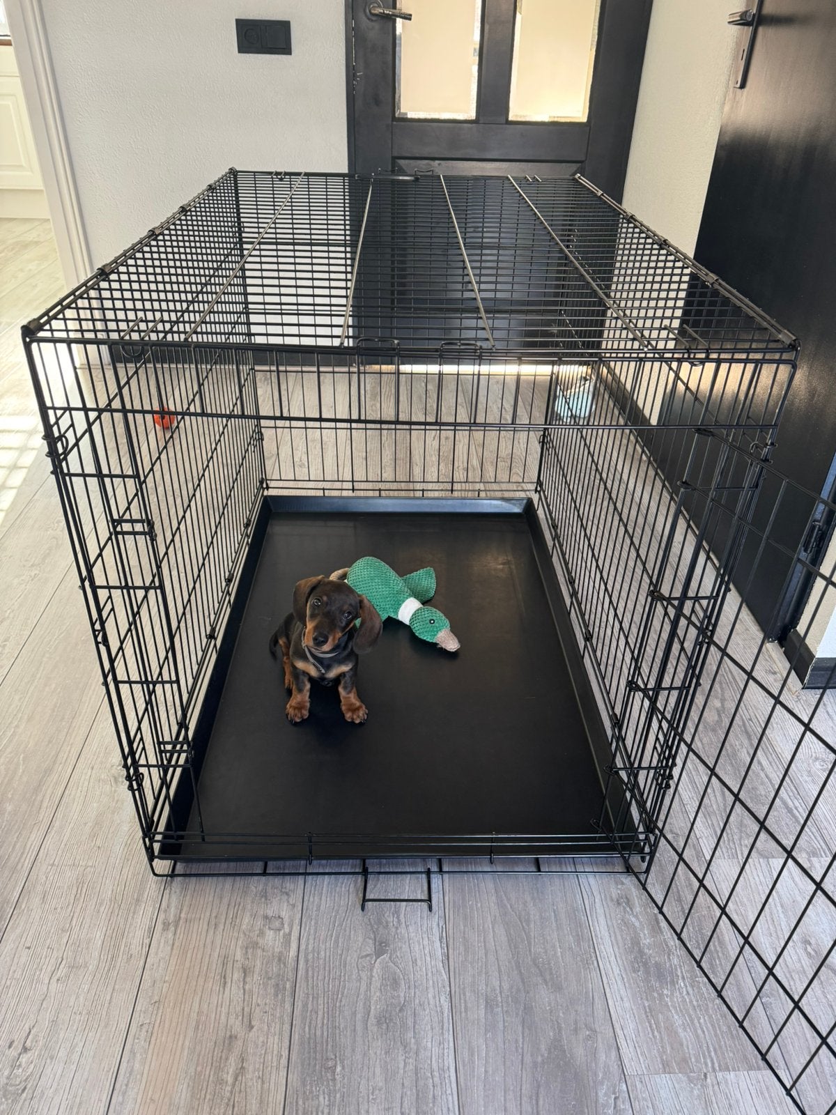 Honden bench XL, Ophalen, Zo goed als nieuw, 110 cm of meer, 65 tot 100 cm
