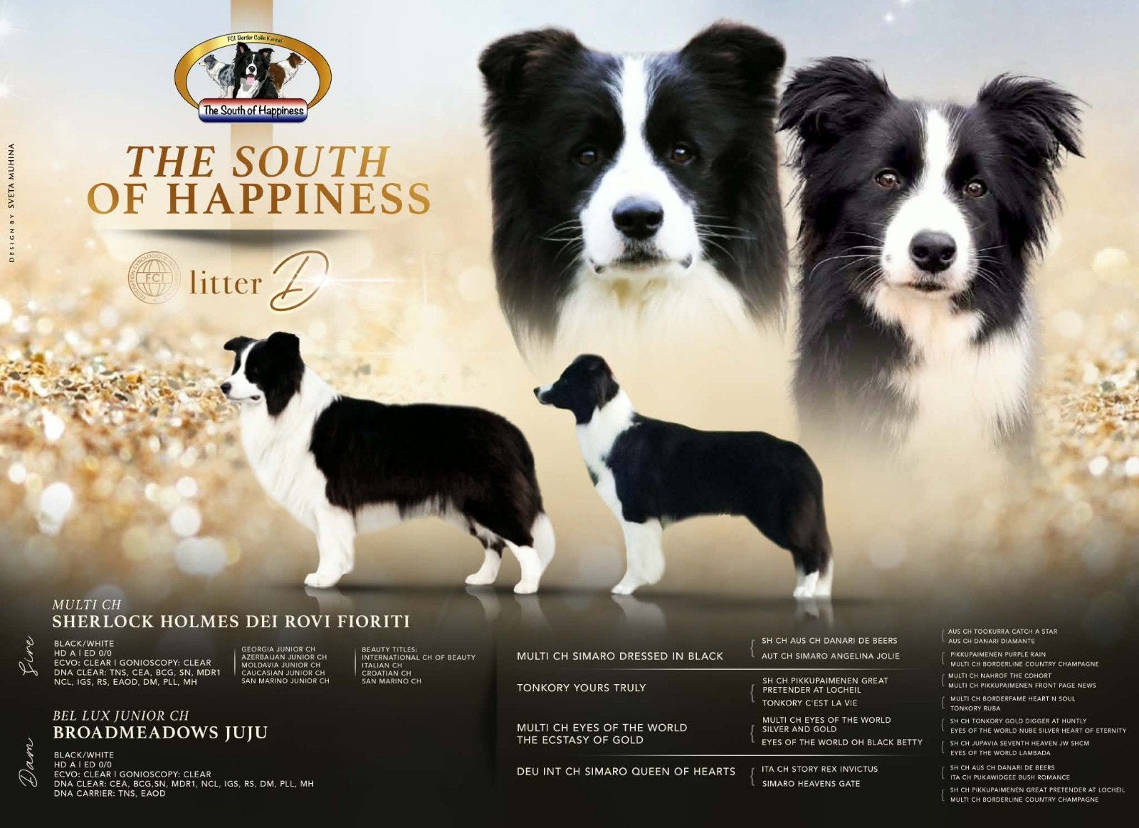Border Collie showlijn FCI stamboom, Dieren en Toebehoren, Reu, CDV (hondenziekte), 8 tot 15 weken, Collie