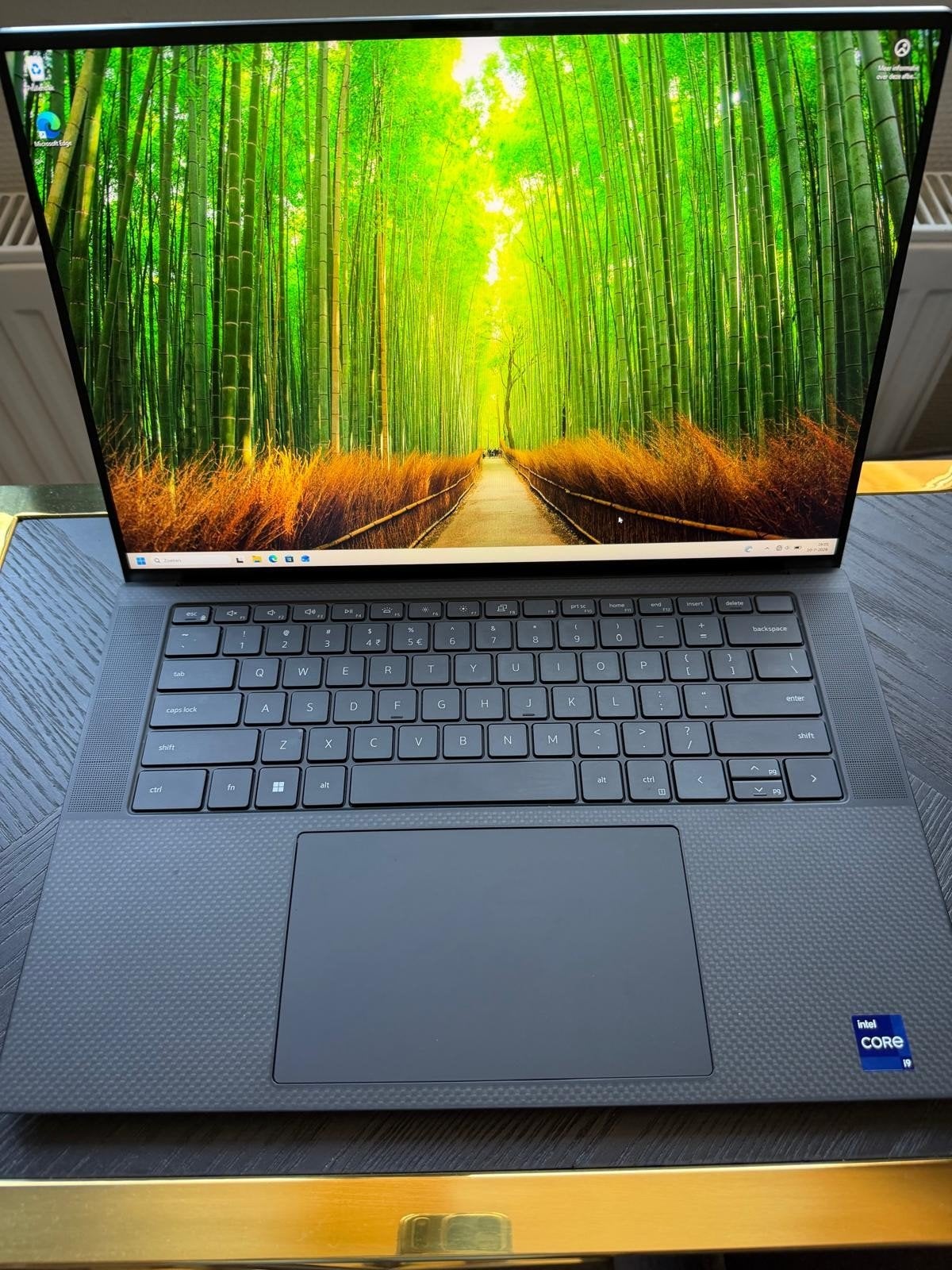 Dell XPS 15 9530 i9-13900H RTX 4070 32GB RAM 1TB SSD, Computers en Software, Windows Laptops, Gebruikt, Met videokaart, Ophalen of Verzenden