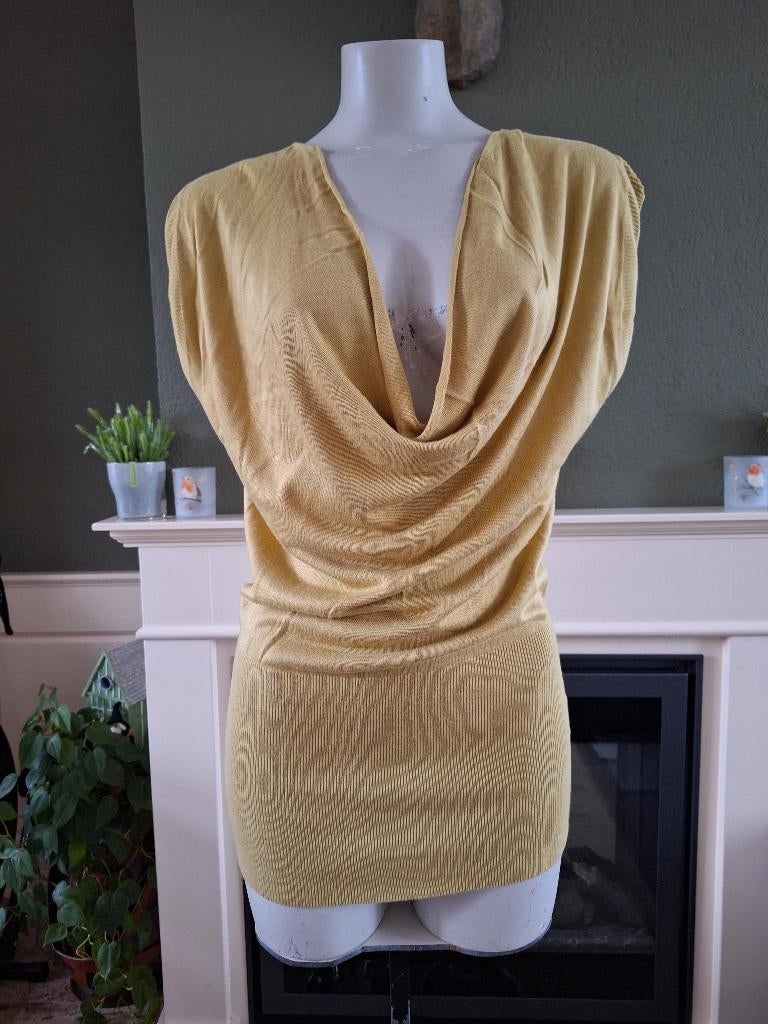 Phildar mooie mosterd kleur trui top S 36, Phildar, Geel, Ophalen of Verzenden, Zo goed als nieuw