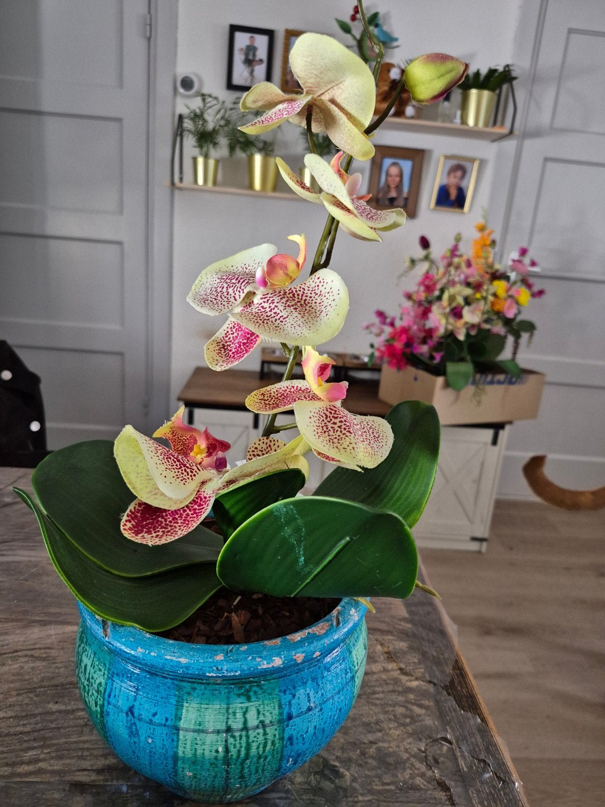 Mooie kunst orchidee, Ophalen, Nieuw, Binnen, Met pot of vaas