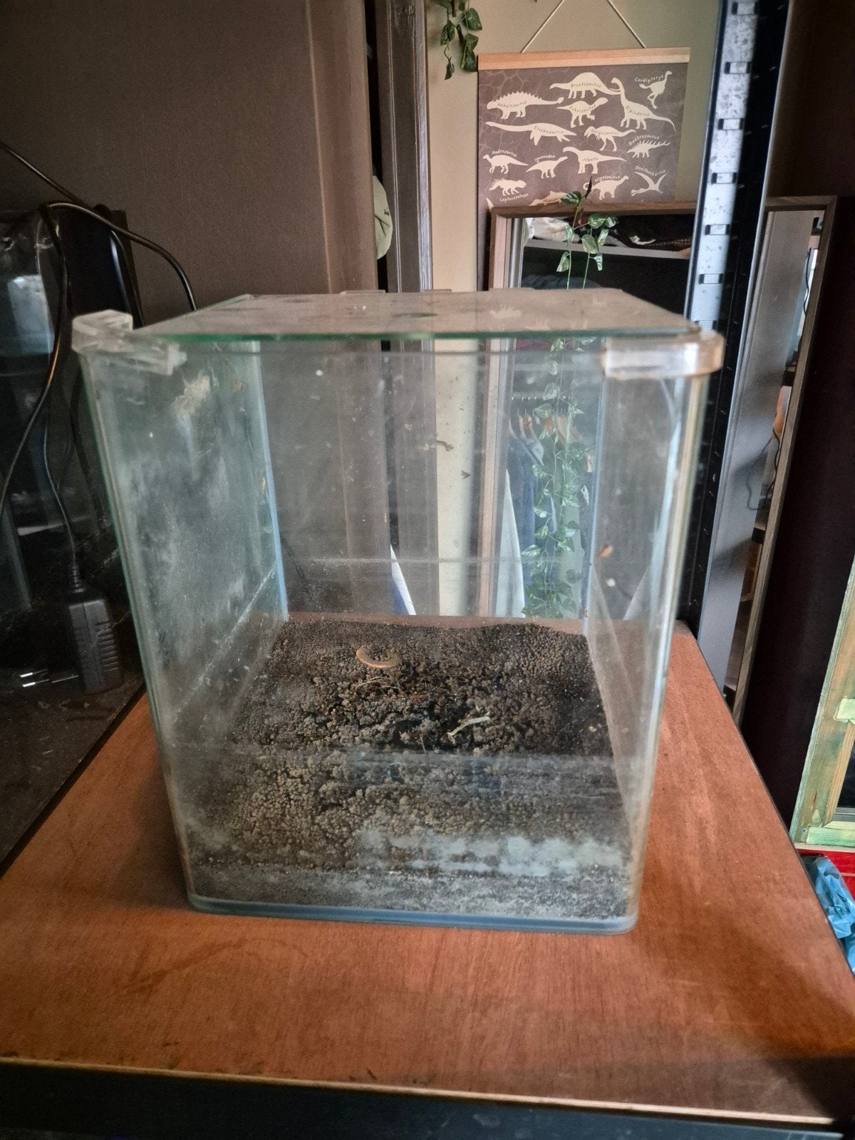 nano cube aquarium 25x25x30, Dieren en Toebehoren, Vissen | Aquaria en Toebehoren, Ophalen, Zo goed als nieuw, Leeg aquarium