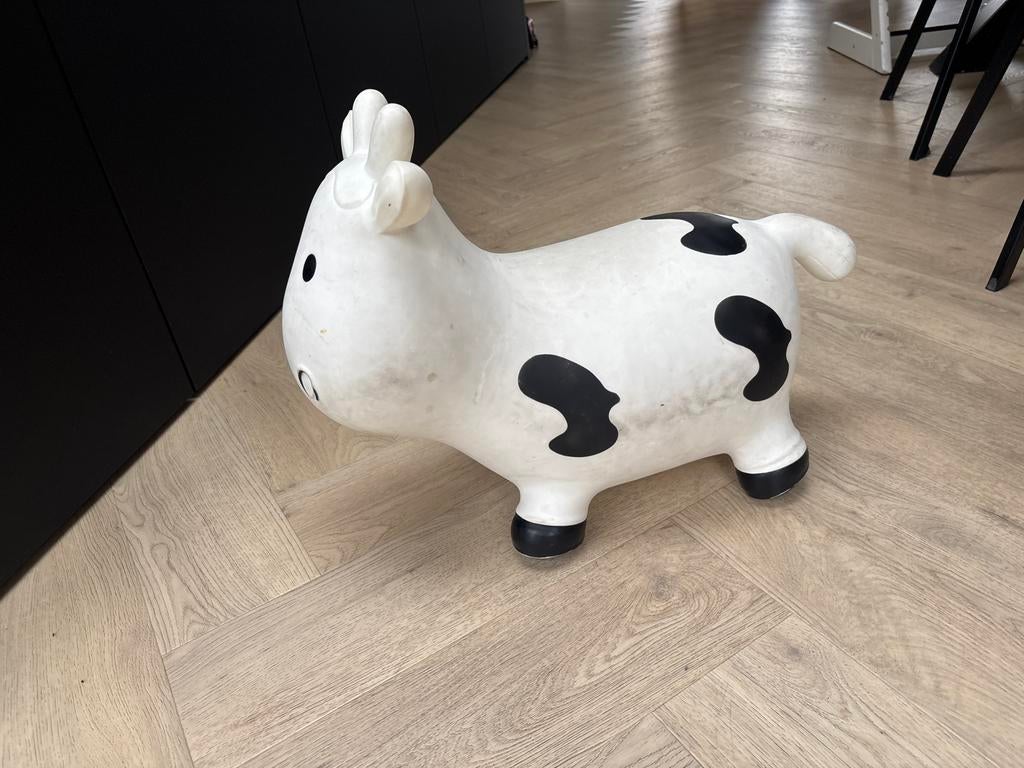 Skippykoe opblaasbaar, Ophalen of Verzenden, Gebruikt, Jongen of Meisje
