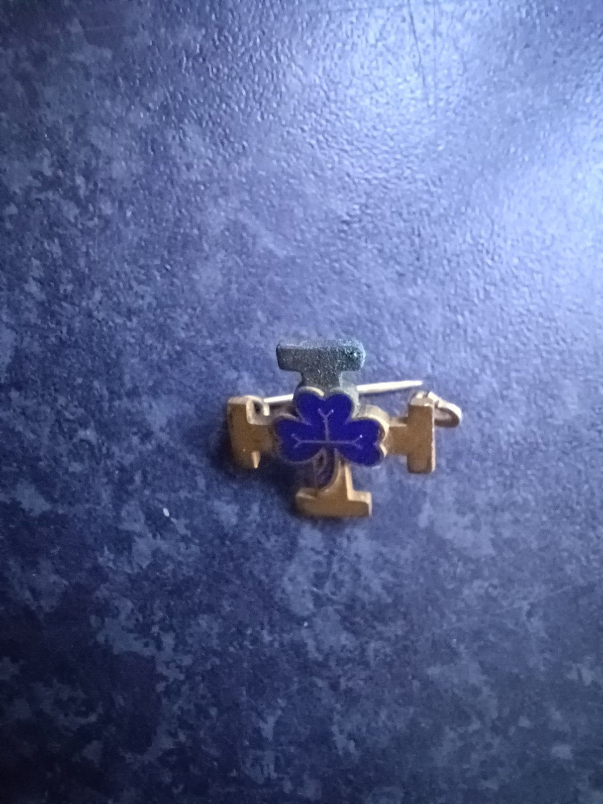 Speldje/ broche gidsen (scouting padvinderij), Ophalen of Verzenden, Gebruikt, Overige onderwerpen, Speldje of Pin