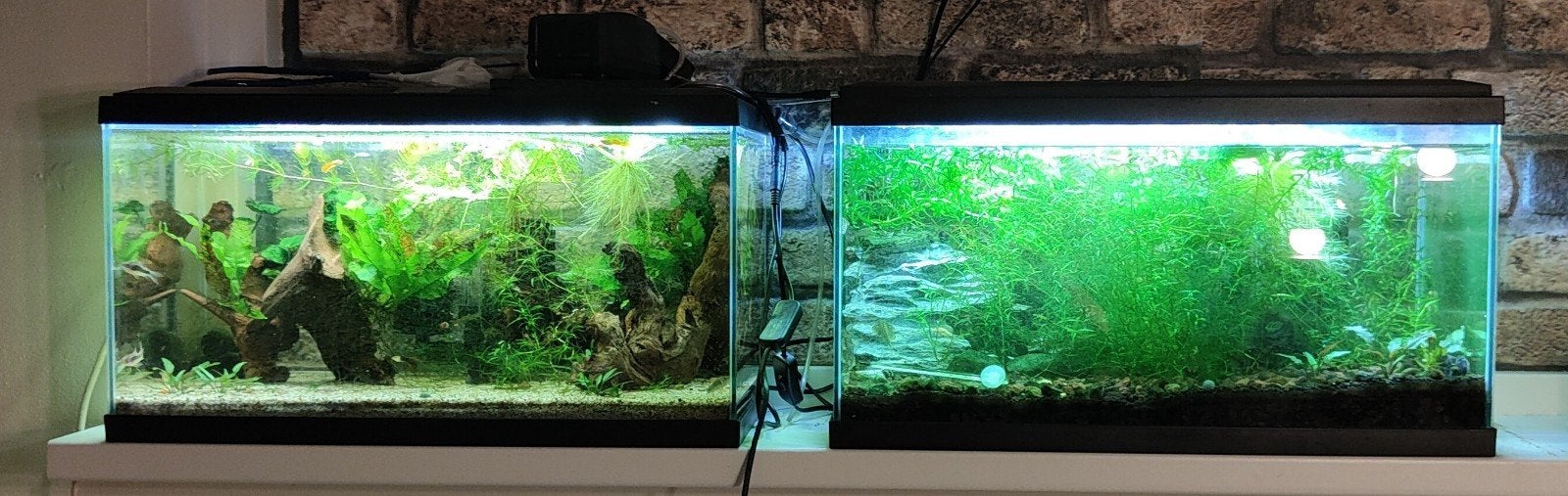 2x Ciano aquarium 60x30x30, Dieren en Toebehoren, Vissen | Aquaria en Toebehoren, Ophalen of Verzenden, Zo goed als nieuw, Leeg aquarium