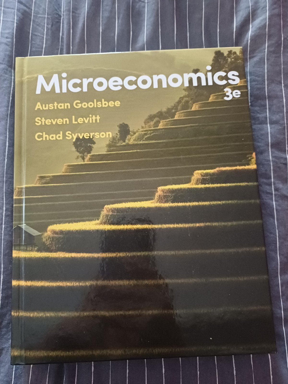 Microeconomics 3e - Goolsbee, Levitt, Syverson, Austan Goolsbee, Steven Levitt, Chad Syverson, Zo goed als nieuw, Gamma, HBO