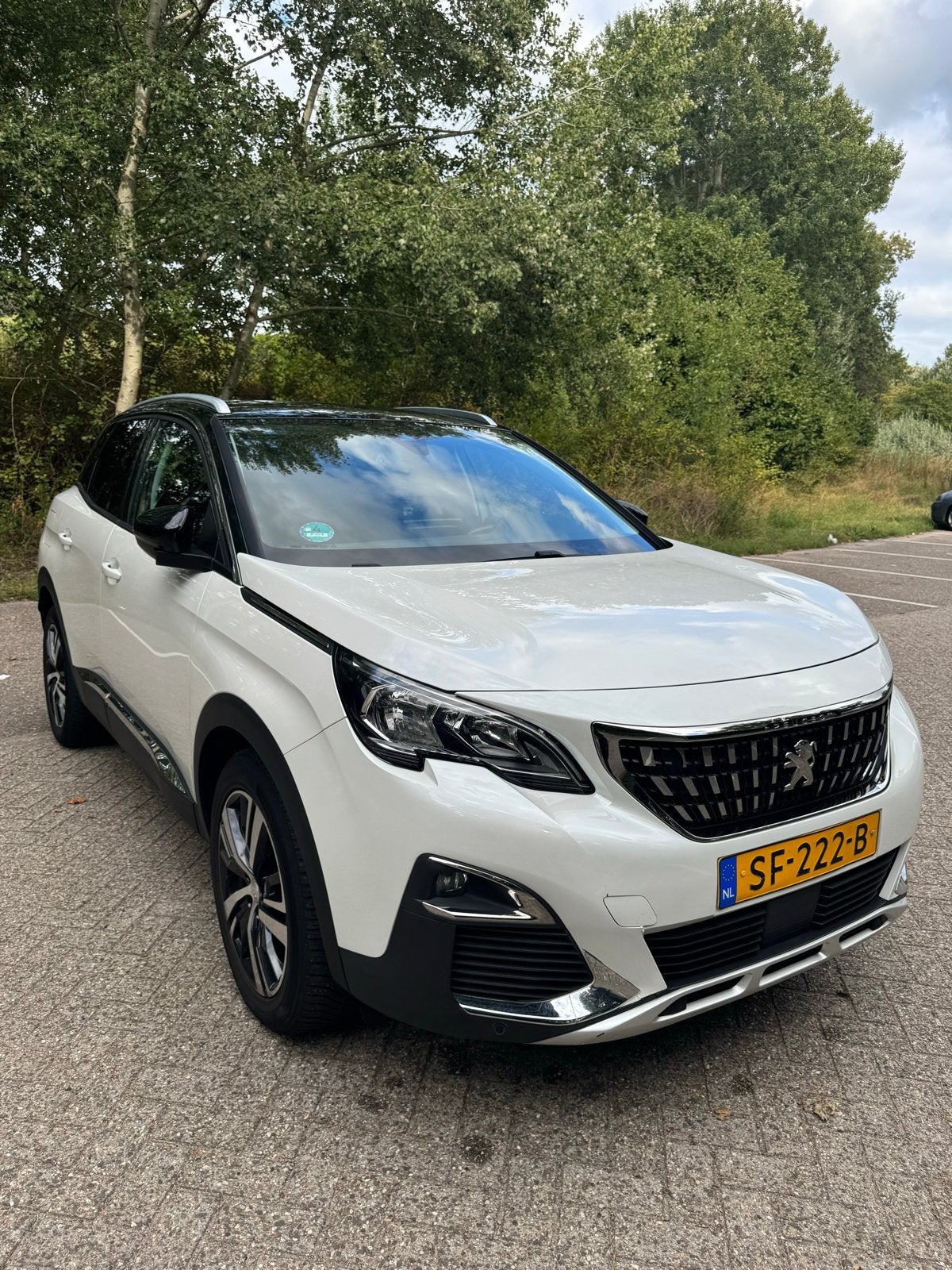 Peugeot 3008 1.2 Puretech 96KW/130PK 2017 Wit, Voorwielaandrijving, 1225 kg, 1199 cc, Leder en Stof