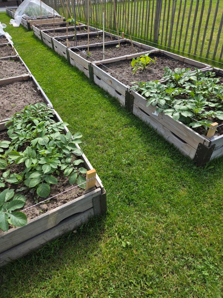Palletranden,  palletkist, moestuinbak,  haardhout opslag, 100 cm of meer, 60 cm of meer, Ophalen of Verzenden, Nvt