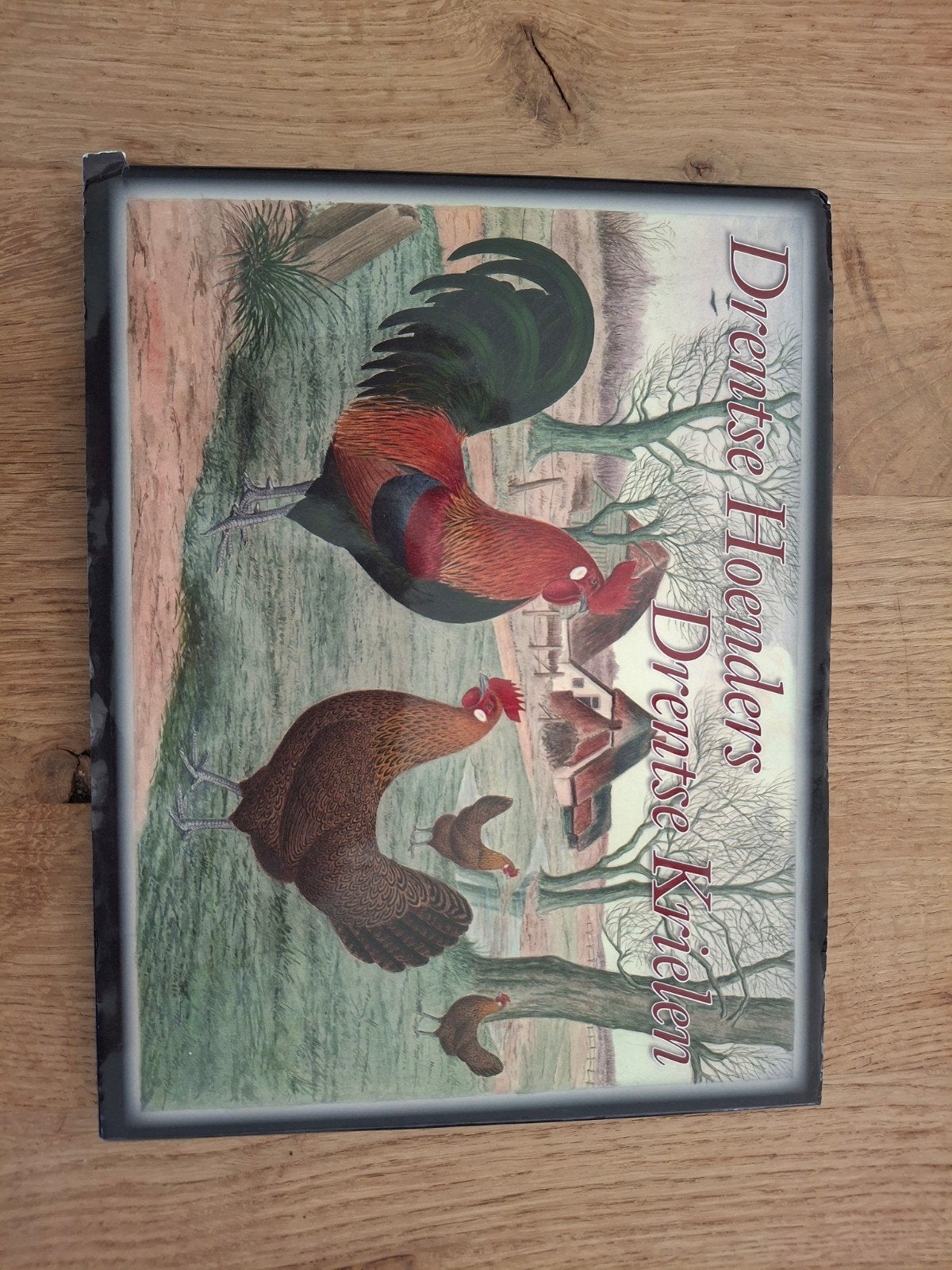 Boek Drents Hoen kippen, Dieren en Toebehoren