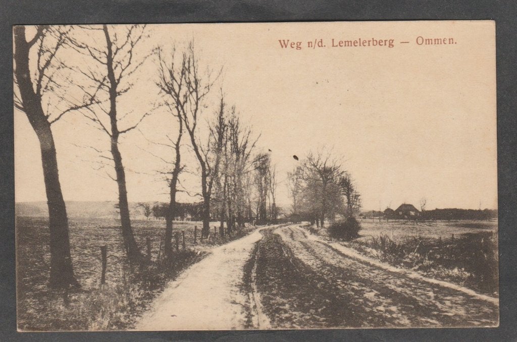 ommen weg naar de lemelerberg, Verzamelen, Ansichtkaarten | Nederland, Verzenden, 1920 tot 1940, Gelopen, Overijssel