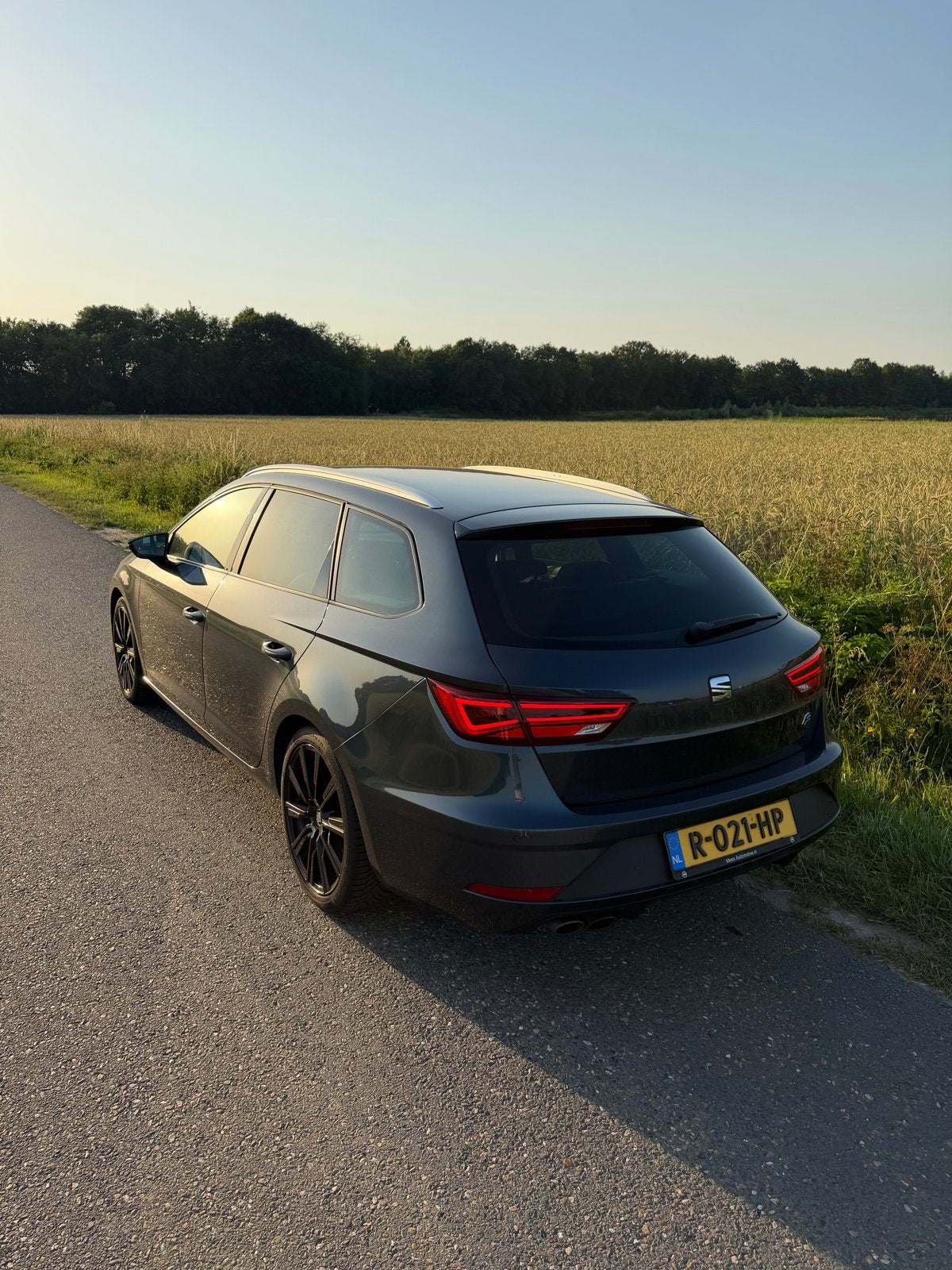 Seat Leon 2.0 TSI 190PK Dsg-7 2019 Grijs, Auto's, Seat, Stof, Zwart, 1984 cc, Leon