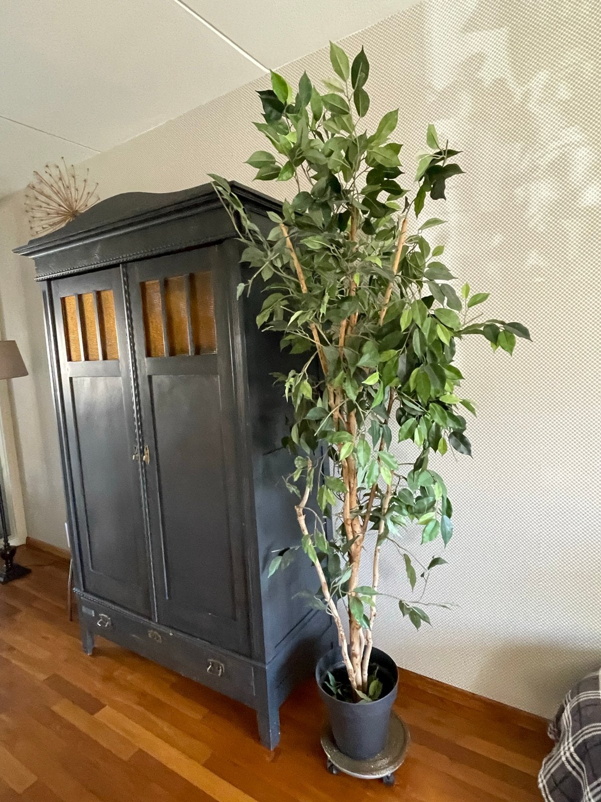 Grote kunstplant Ficus - onderhoudsvrij en sfeervol, Ophalen, Binnen, Groen, Kunstplant