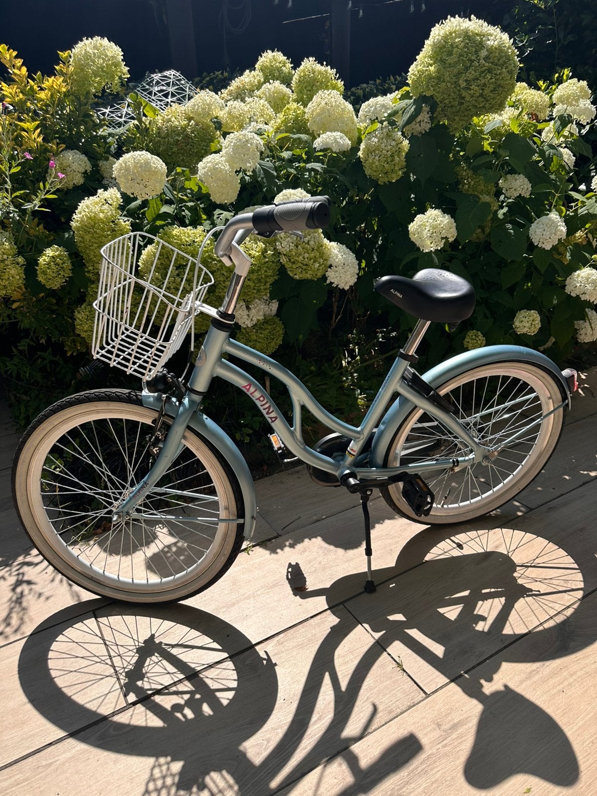 Alpina Ocean kinderfiets 22 inch, Ophalen of Verzenden, Zo goed als nieuw