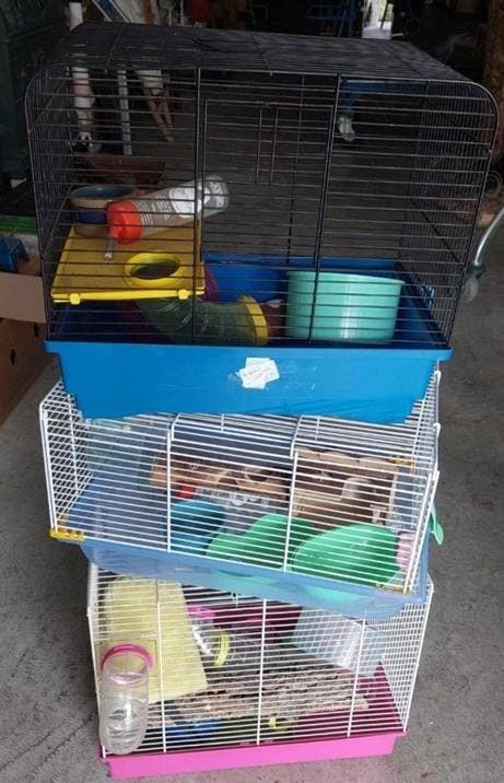 Hamster/ muizen kooitjes, Dieren en Toebehoren, Knaagdieren en Konijnen | Hokken en Kooien, Kooi, Minder dan 75 cm, Hamster, Ophalen