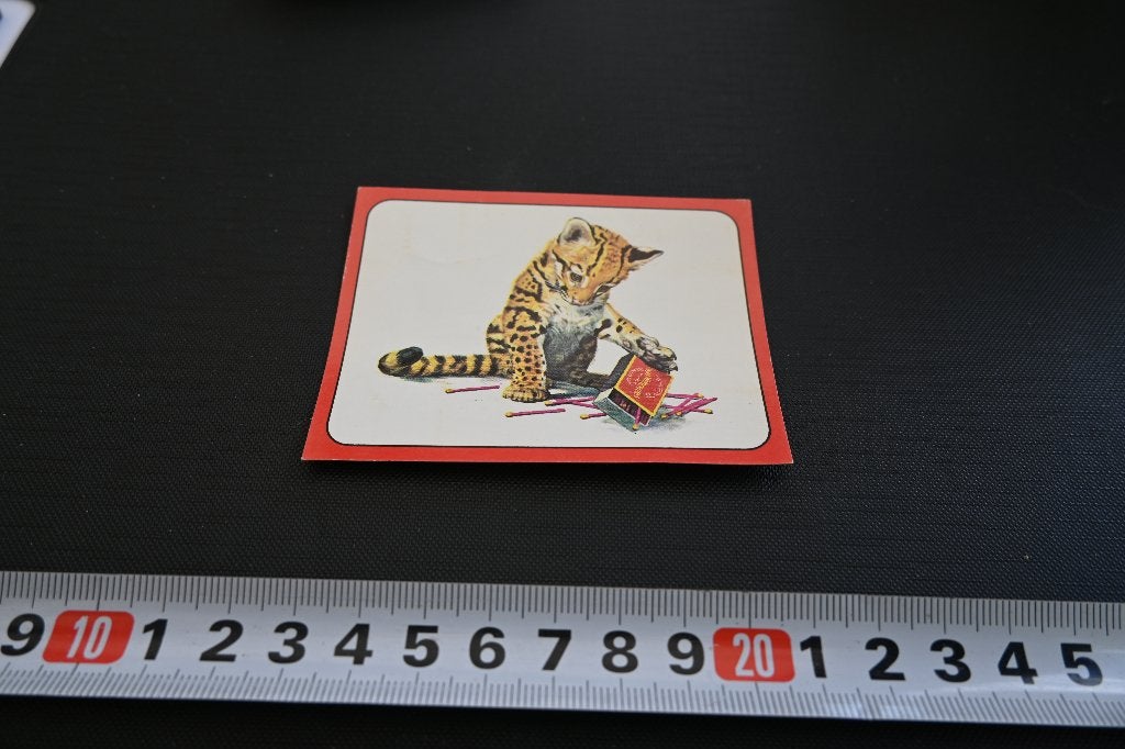 sticker panini baby zoo # 109 strip amerikaanse kat ocelot, Ophalen, Zo goed als nieuw