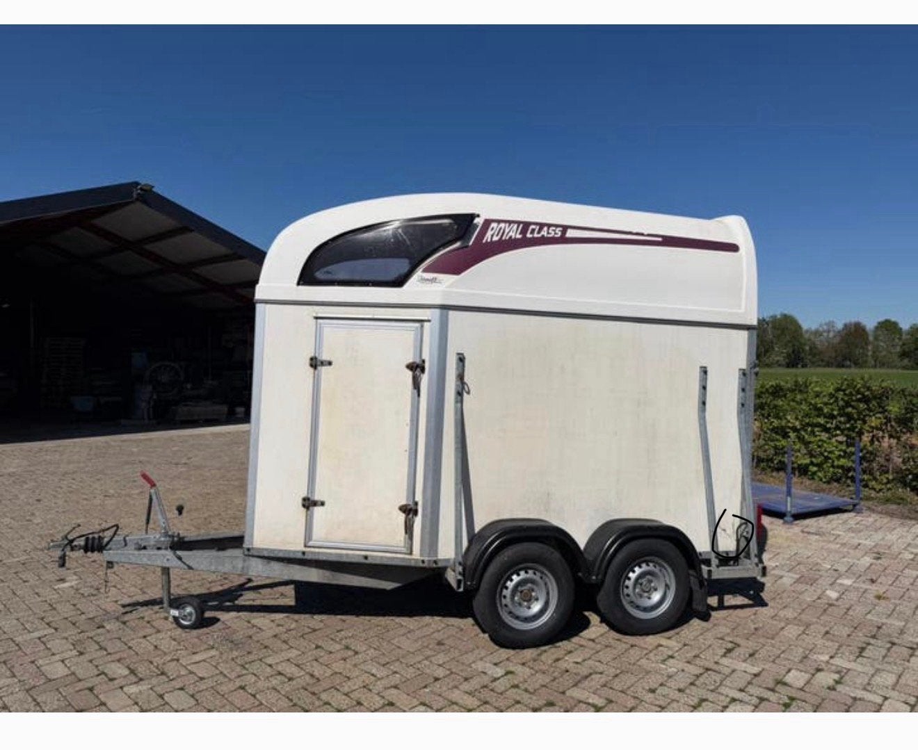 Te koop, Dieren en Toebehoren, Ophalen of Verzenden