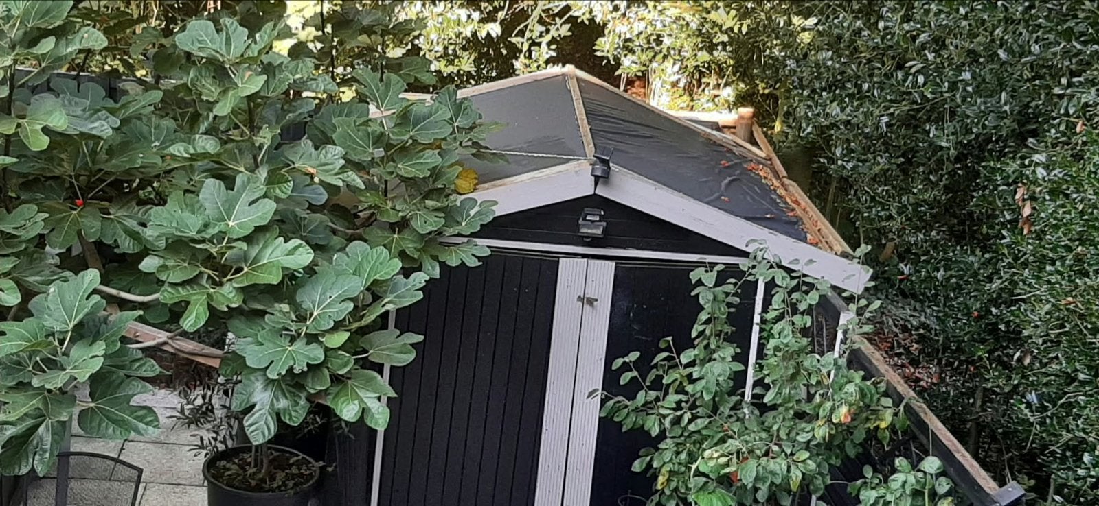 Compact Tuinhuisje - Ideaal voor opslag, Tuin en Terras, Gebruikt, Tuinhuis, Minder dan 200 cm, 1 raam