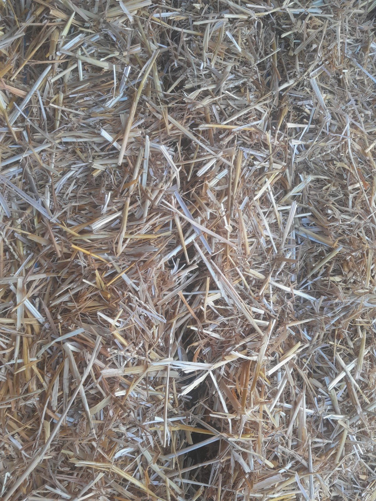 Stro - Ideaal voor dierenbedding of decoratie, Ophalen of Verzenden