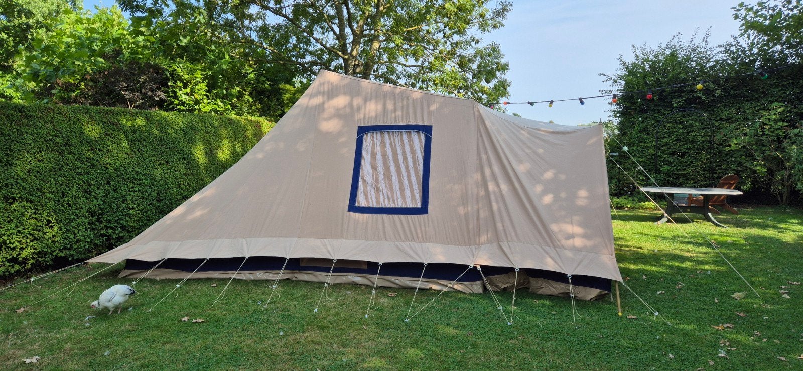 Stormtent, Adelaar 6 Tent, Caravans en Kamperen, Ophalen, Gebruikt, Tot en met 6