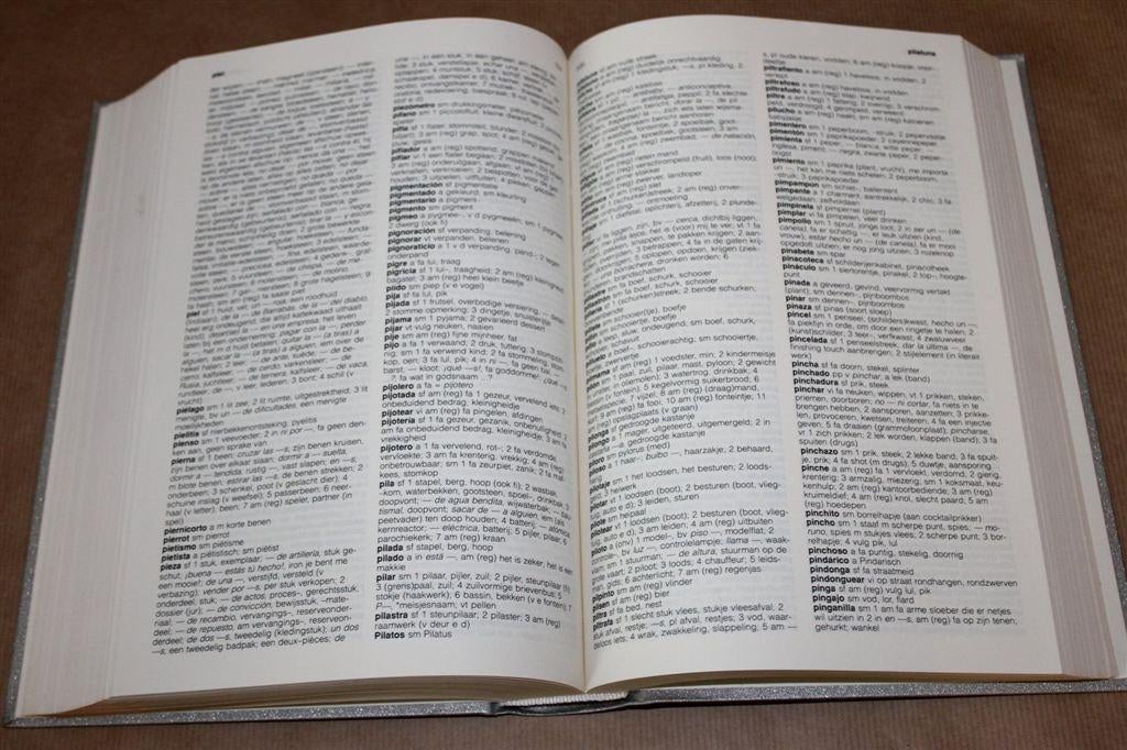 Spaans-Nederlands woordenboek. Jan Schroten., Ophalen of Verzenden, Gelezen, Van Dale, Nederlands