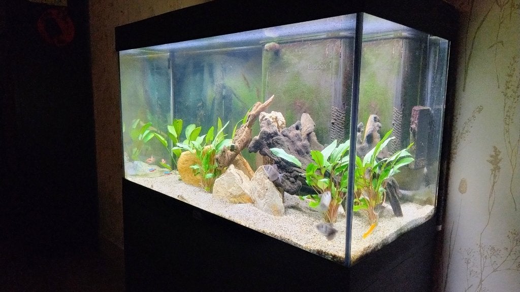 Aquarium aquatlantis volga 125, Ophalen, Aquatlantis, Zo goed als nieuw, Leeg aquarium