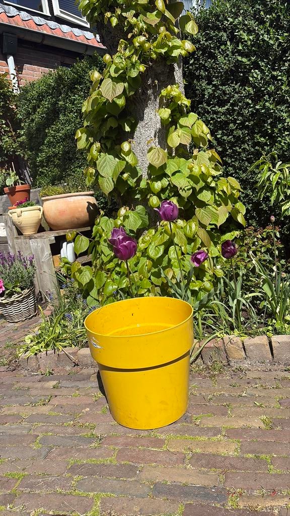 Elho bloempot geel 35 cm diameter, Ophalen, Zo goed als nieuw