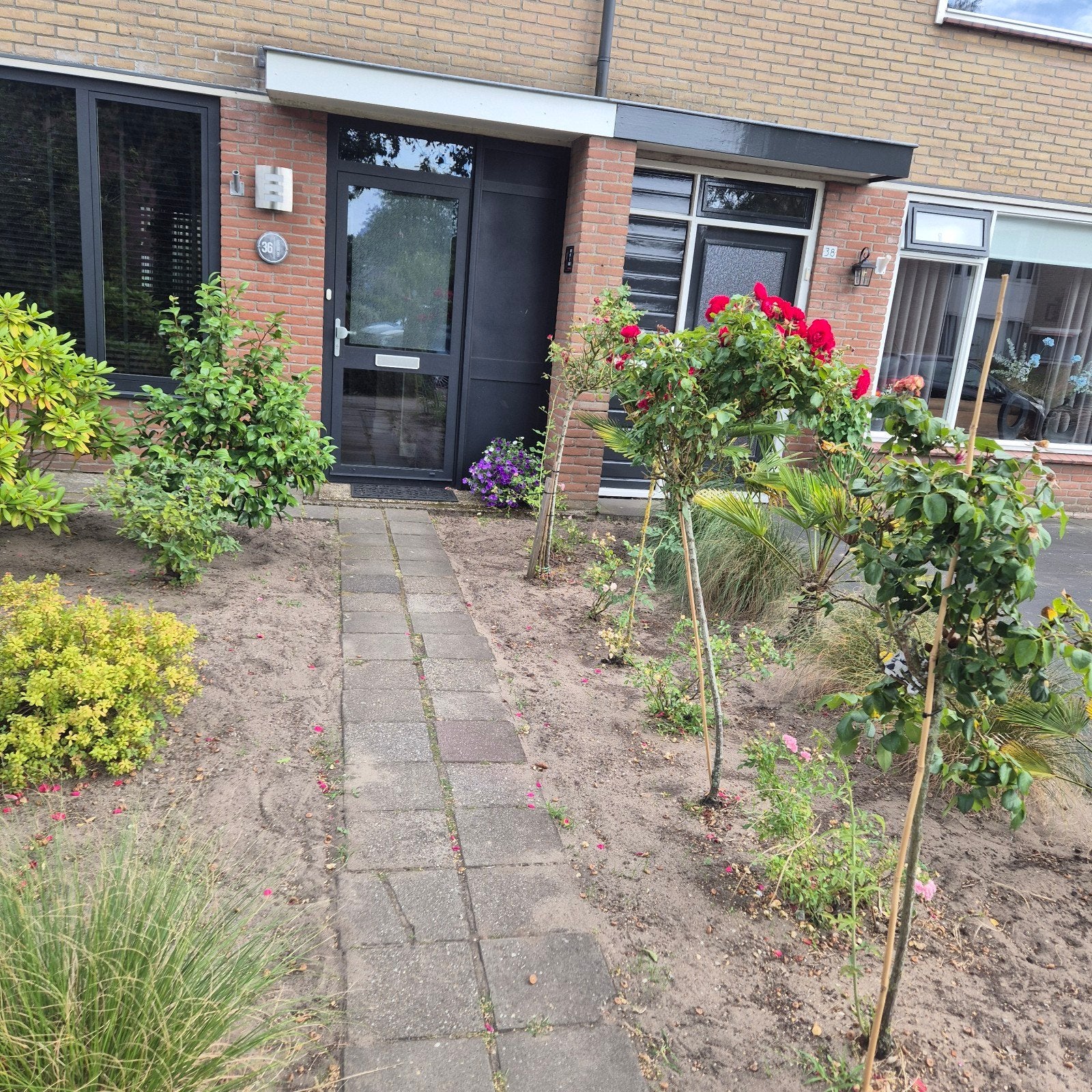Diverse planten te koop wegens verandering voortuin, Vaste plant, Halfschaduw, Zomer, Ophalen