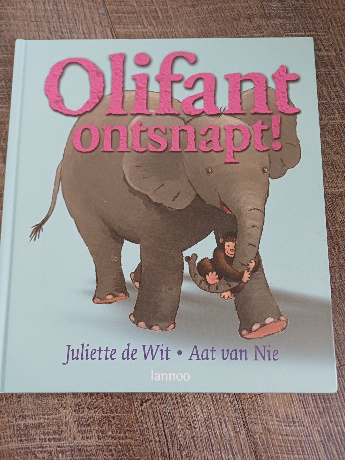 Olifant ontsnapt! - Juliette de Wit & Aat van Nie, Boeken, Ophalen of Verzenden, Zo goed als nieuw, Juliette de Wit, Aat van Nie