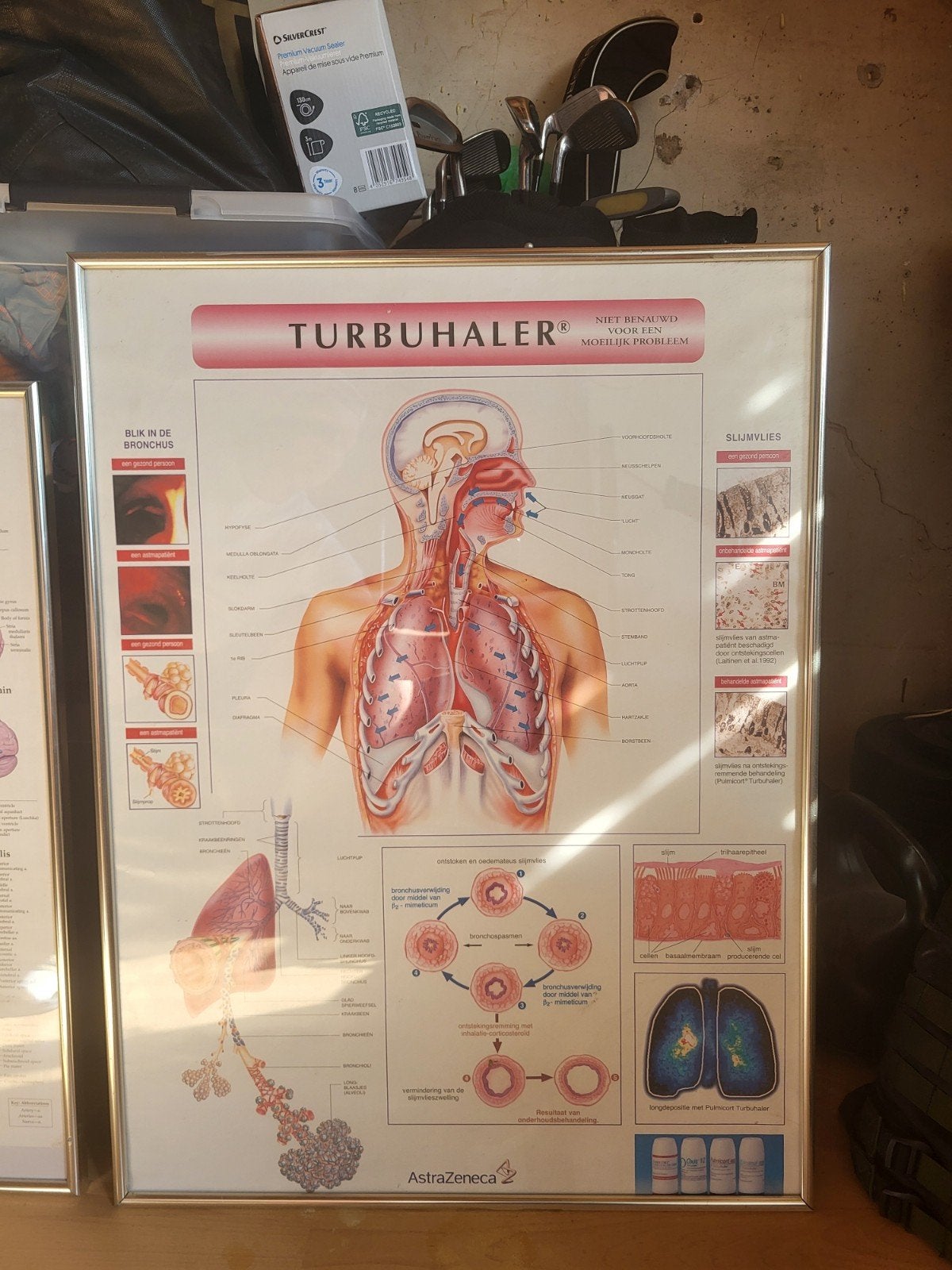 Vintage Turbuhaler Medisch Educatieve Poster, Ophalen of Verzenden, Natuur en Biologie