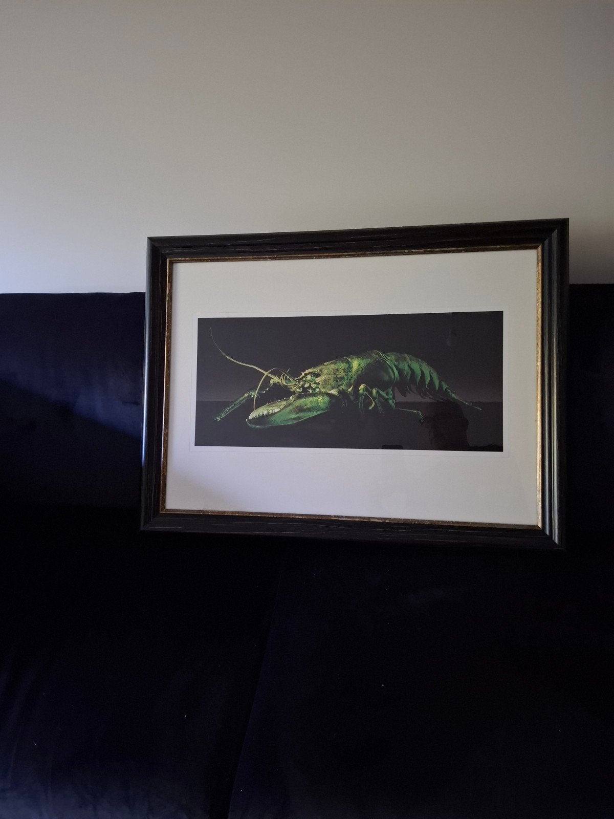 Ingelijste foto van een groene kreeft, Ophalen, Foto, Fotografie, Achter glas