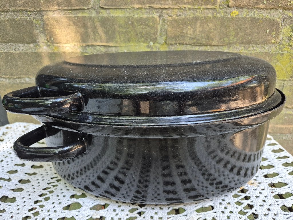 braadpan/wildpan, Gebruikt, Ophalen of Verzenden, Met deksel, Braadpan