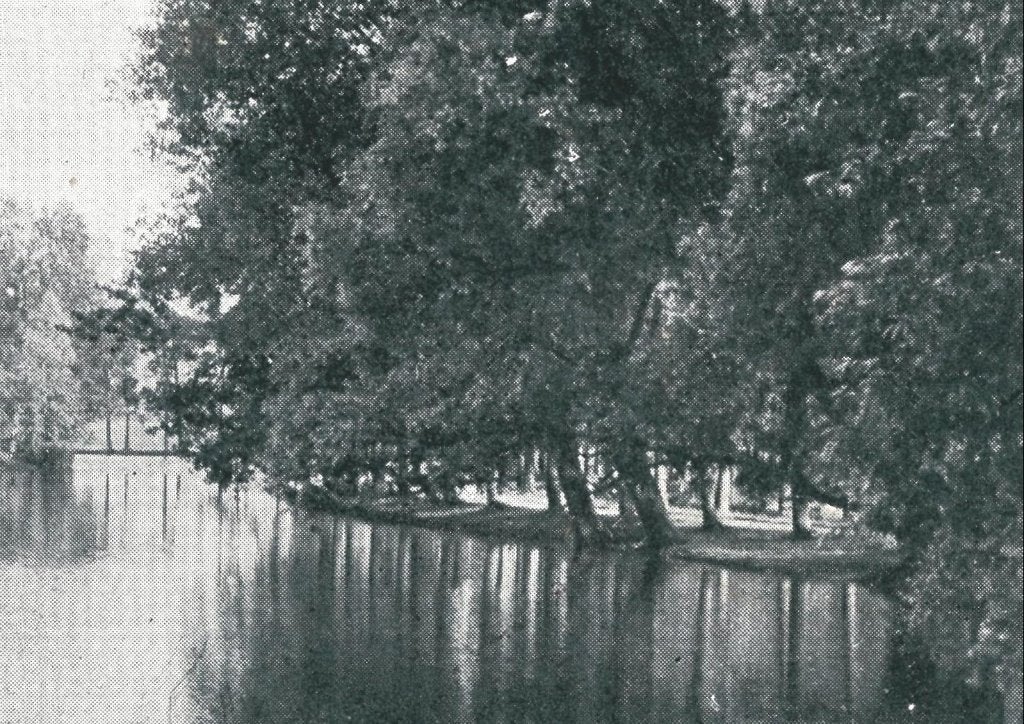 947281	Kampen	Plantsoen	1902	Gelopen met Postzegel, Ophalen of Verzenden, Voor 1920, Gelopen, Overijssel