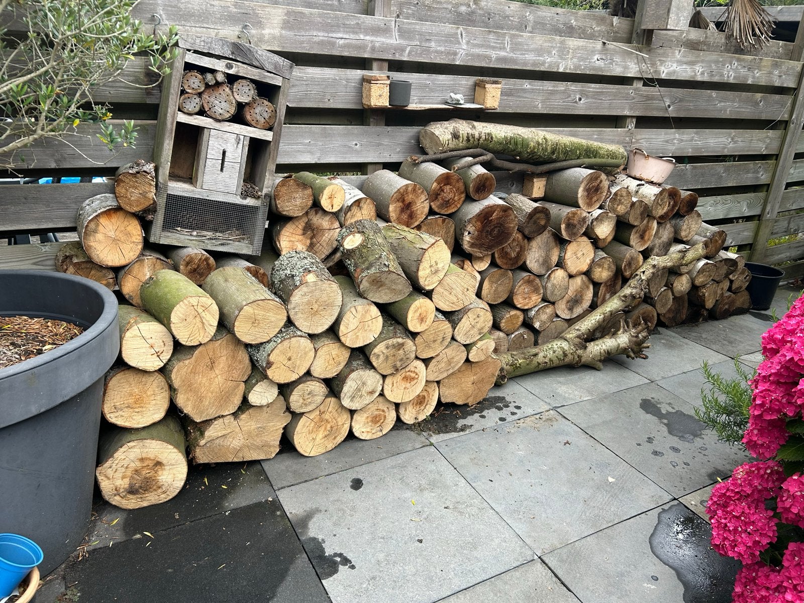 Brandhout beuk, eik, es - ca. 1,5m2, Tuin en Terras, Haardhout, Minder dan 3 m³, Ophalen, Beukenhout, Blokken