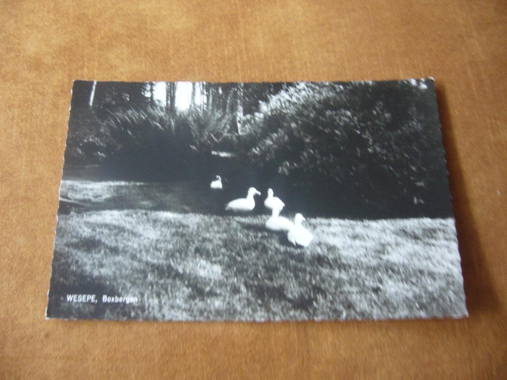 WESEPE  =  BOXBERGEN, Ophalen of Verzenden, 1940 tot 1960, Ongelopen