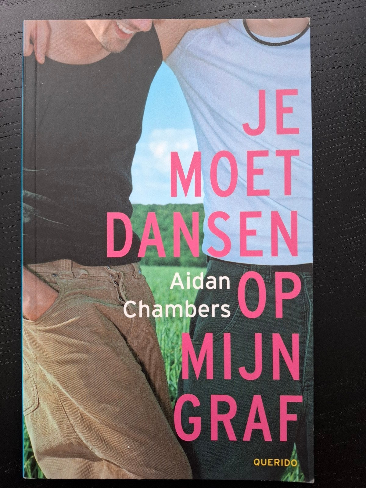 Je Moet Dansen Op Mijn Graf - Aidan Chambers, Boeken, Ophalen of Verzenden, Gelezen, Aidan Chambers, Nederland