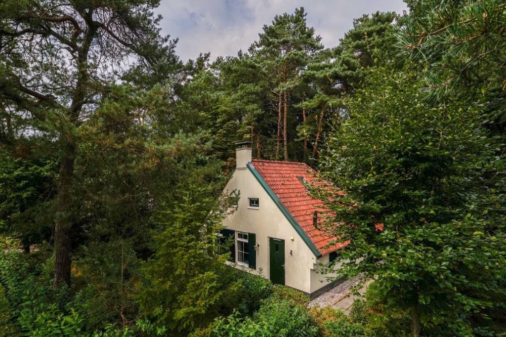 Vakantiehuis in het Drents-Friese Wold, Diever: Wildryck, In bos, 2 slaapkamers, Recreatiepark, Tv