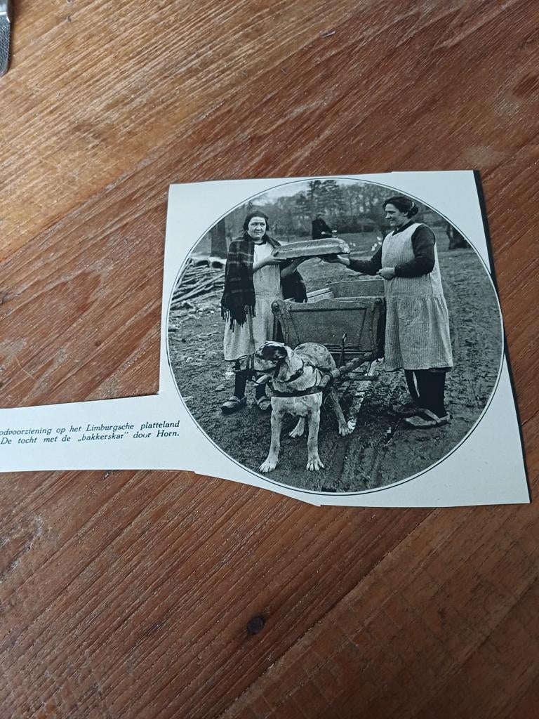 Knipsel bakkerskar Horn 1931, Ophalen of Verzenden, 1920 tot 1940, Knipsel(s)