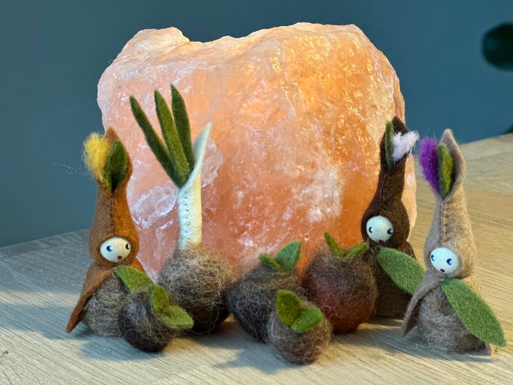 Wortelkindjes met kiembolletjes seizoentafel lente wol vilt, Ophalen of Verzenden, Nieuw, Figuurtje(s), Wolvilt