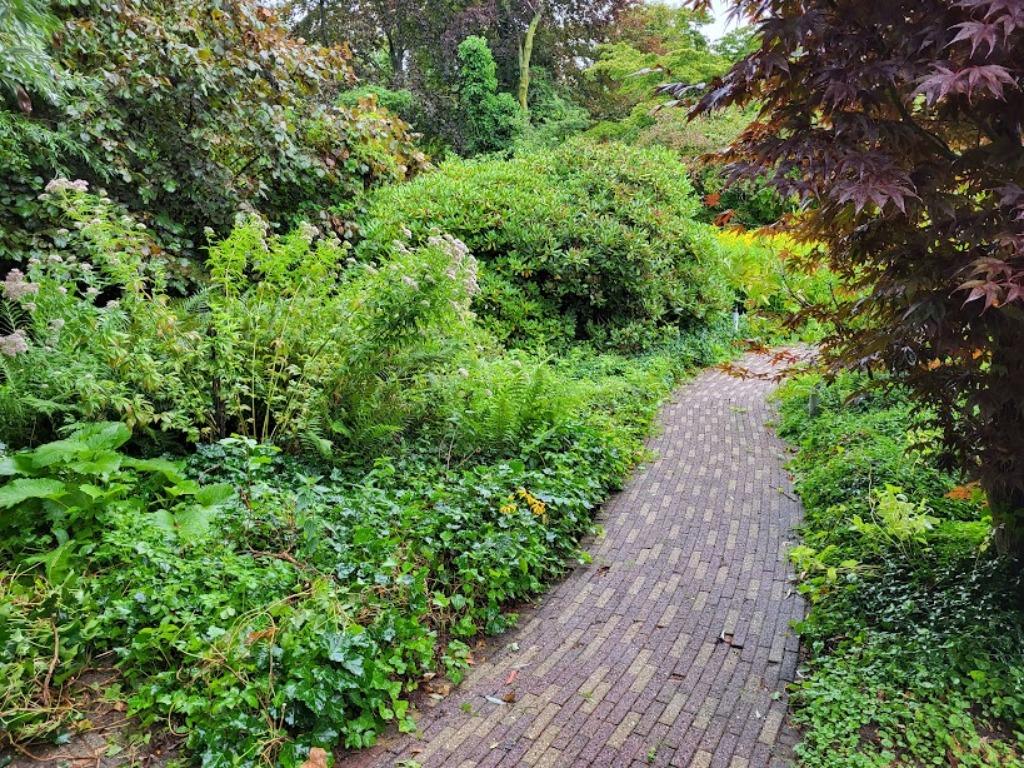Tuinman Hovenier in de Provincie Utrecht