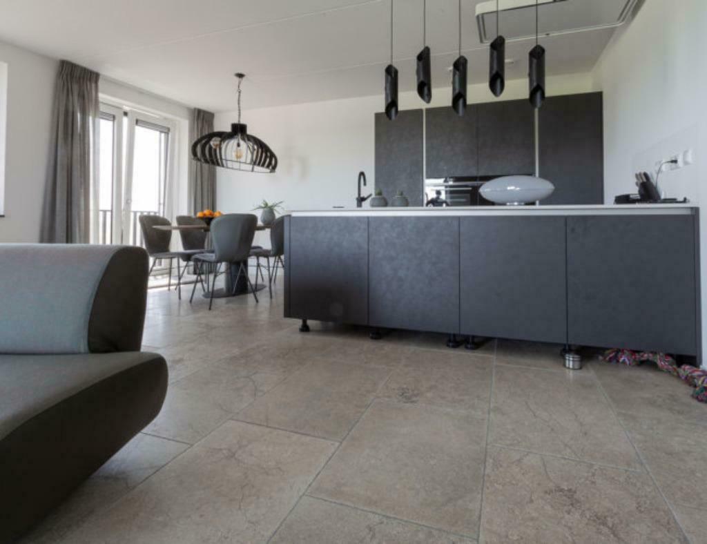 Bourgondische Dallen | TransGrey Light | 50cm diverse lengte, 40 tot 60 cm, Nieuw, Ophalen of Verzenden, 10 m² of meer