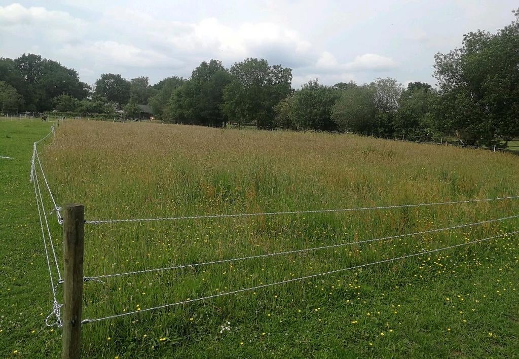 Weidegang + stalling DIY aangeboden, Dieren en Toebehoren, Weidegang